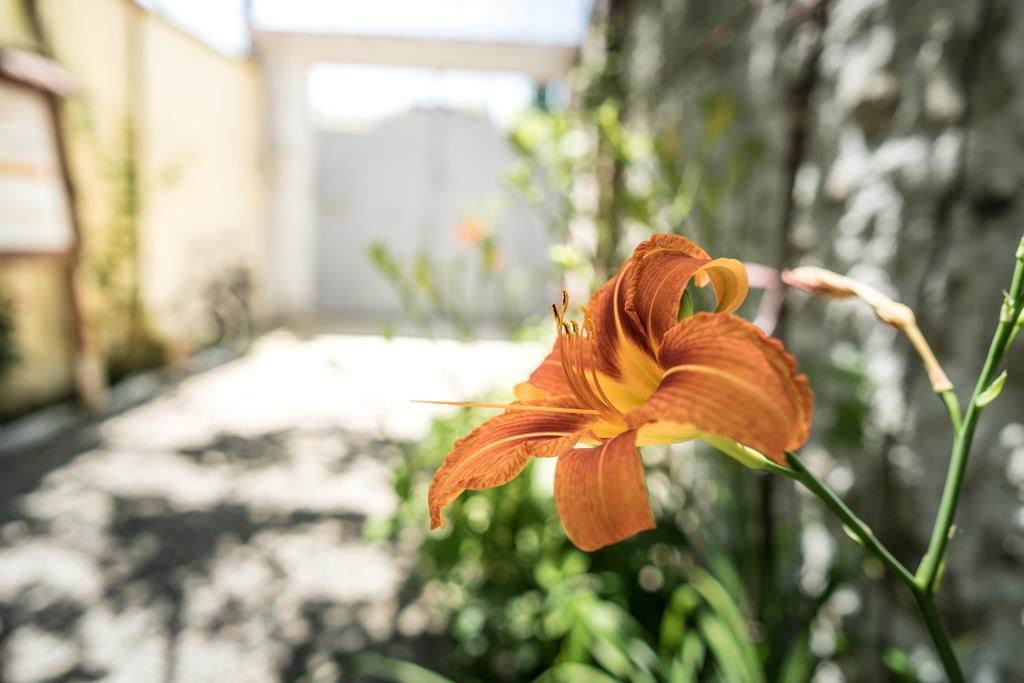 Eco Garten Guest House Шкодер Экстерьер фото